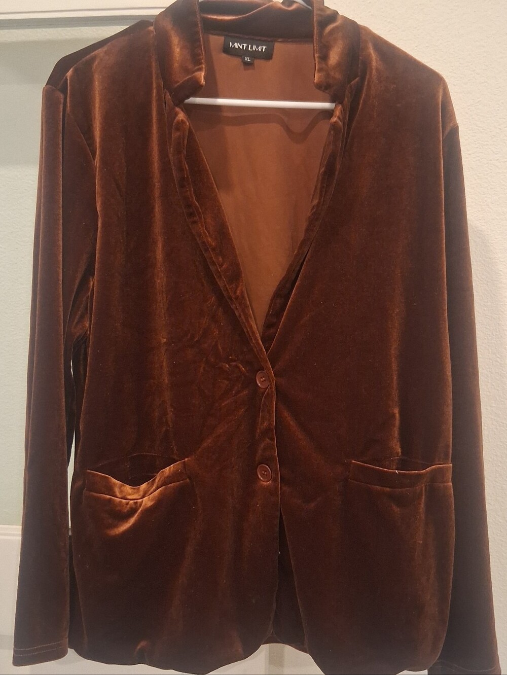 Mint Limit Women's Velvet Blazer Jacket in Rust Brown